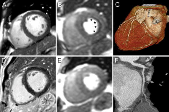 Fig. 5