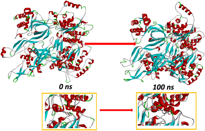 Fig. 11