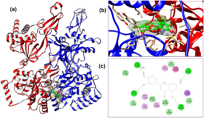 Fig. 8