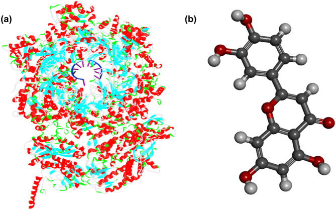 Fig. 1