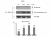 Fig. (2) The glutamine 324 residue of Tip60 is required for the interaction with FE65 and its HAT Activity