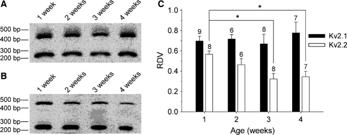 Figure 5