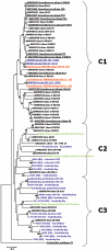 FIG. 2.
