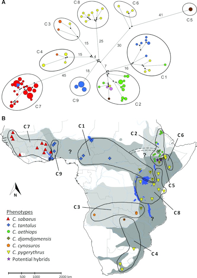 Fig. 3