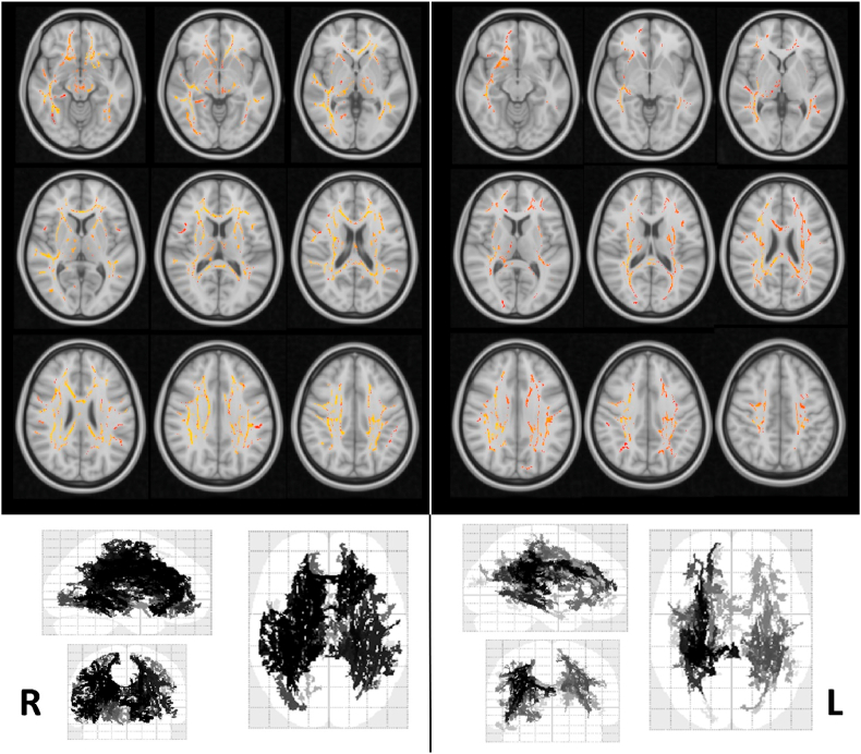 Fig. 2