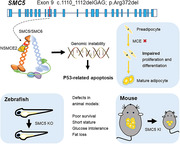graphic file with name CTM2-13-e1007-g007.jpg