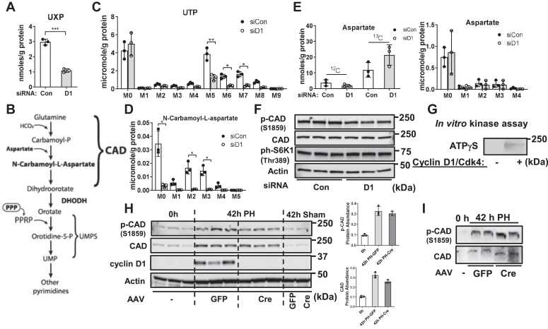 Figure 6