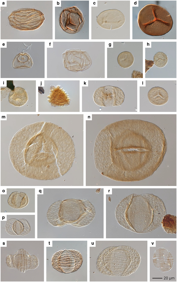 Fig. 14