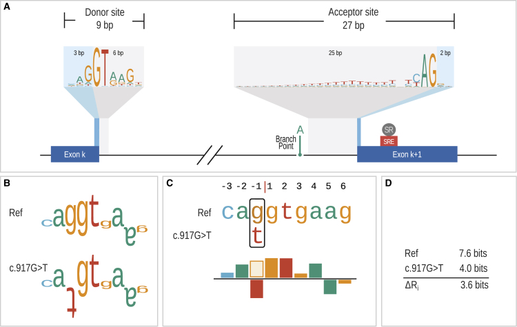 Figure 1