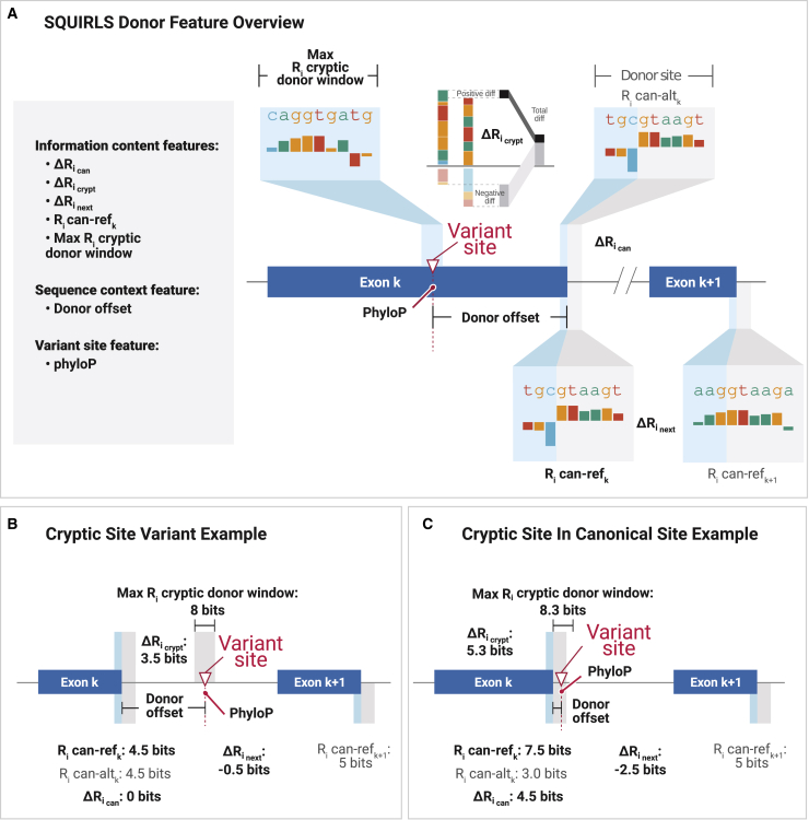 Figure 2