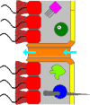 Fig. 4