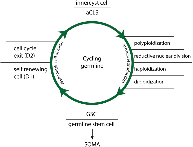 Fig. 2