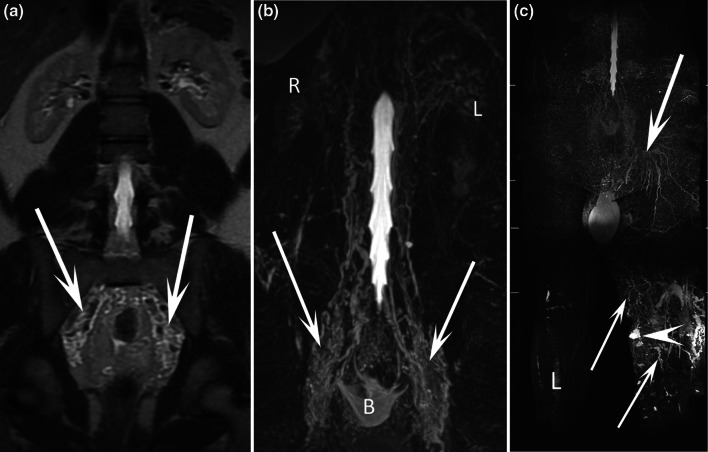 Fig. 8