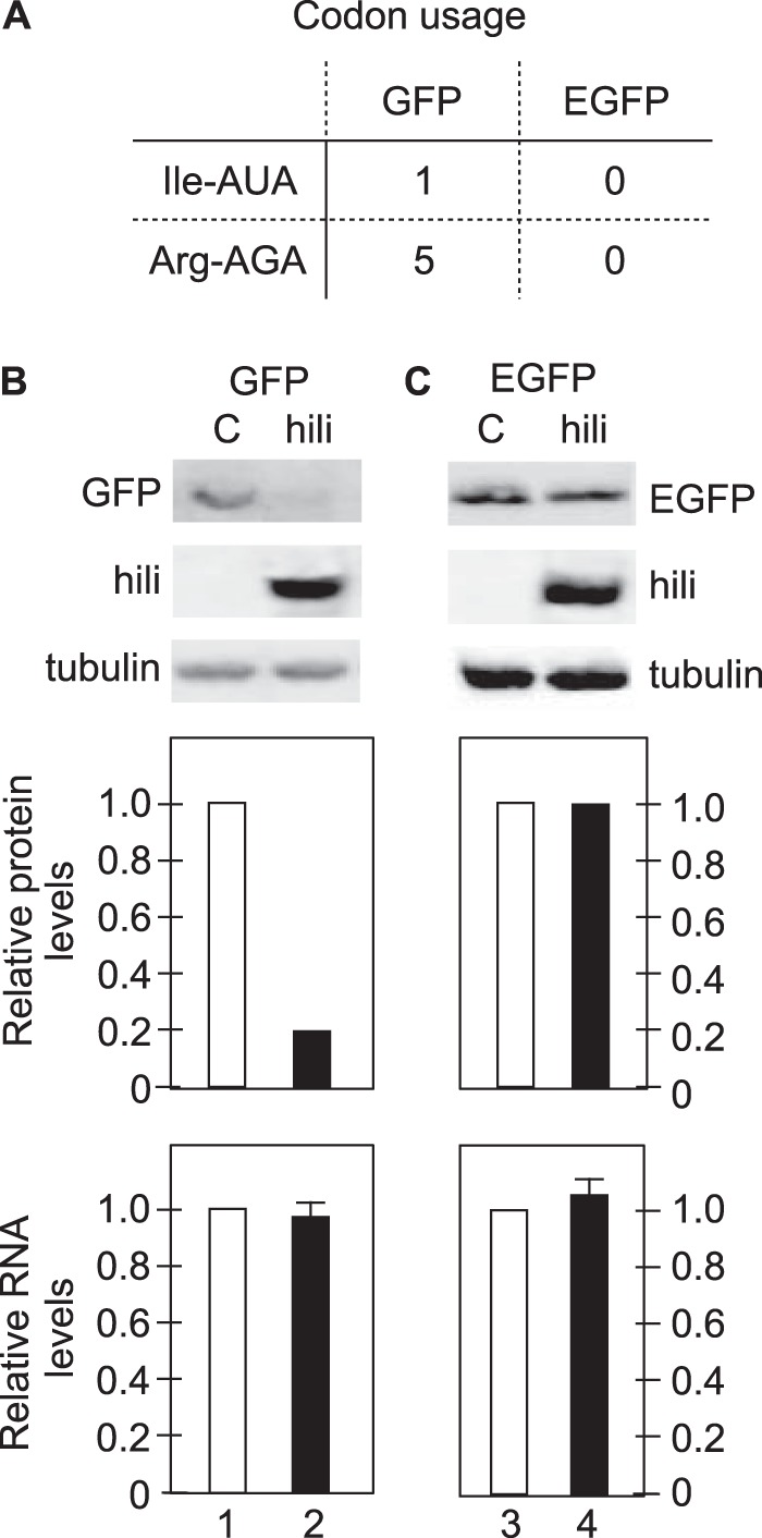 FIG 2