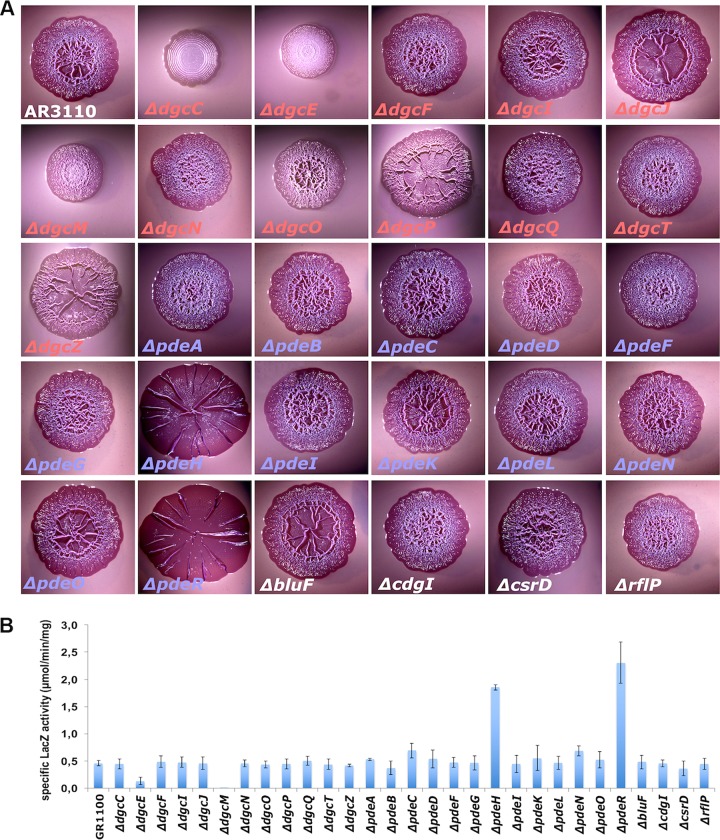 FIG 3 