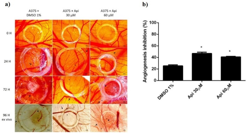 Figure 12