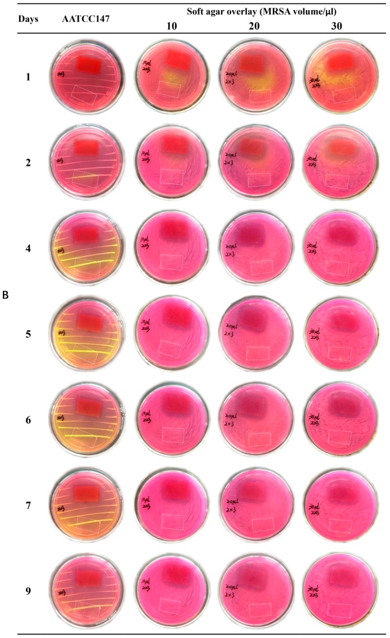 Figure 11