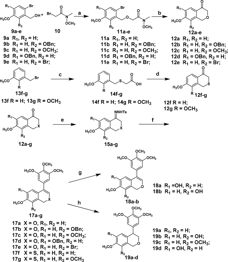 Scheme 1