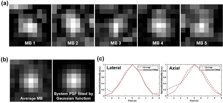 Fig. 10.