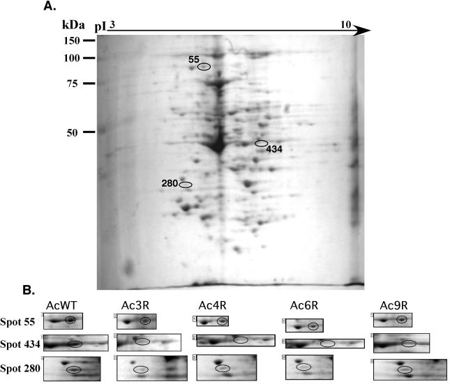 FIG. 6.