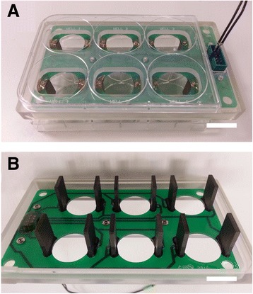 Fig. 10