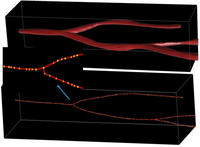 Figure 4: