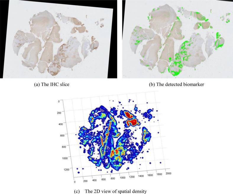 Figure 7: