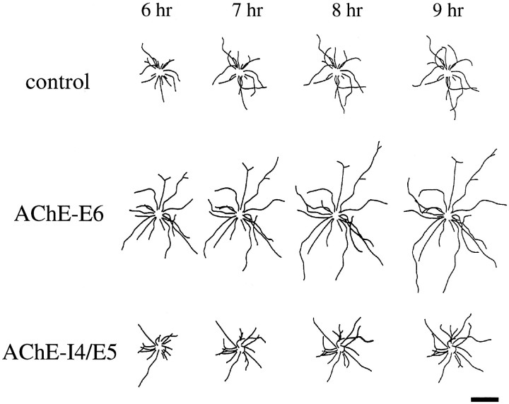 Fig. 3.