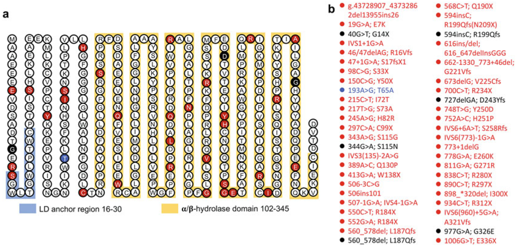 Fig. 13.1