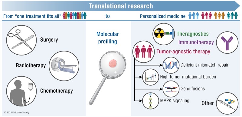 Graphical Abstract