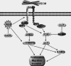 Fig. 10.