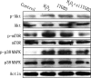 Fig. 9.