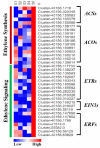 Fig. (3)