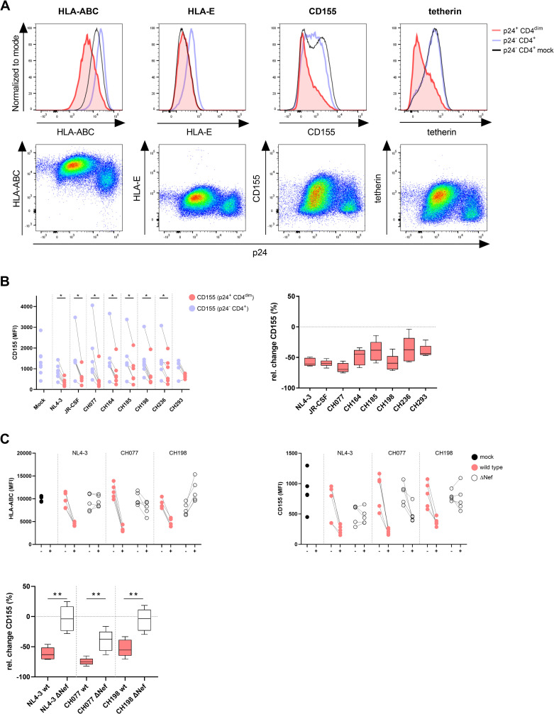 Fig 4