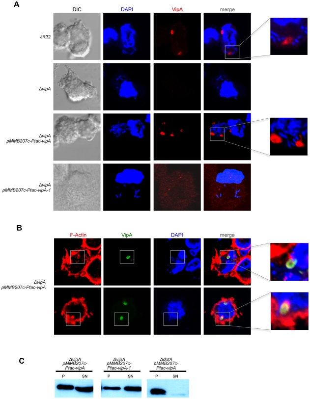 Figure 6