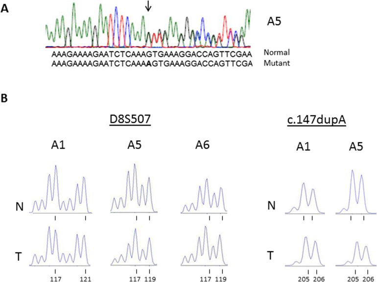 Supplementary Figure 2