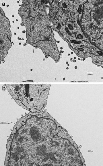 Fig. 8