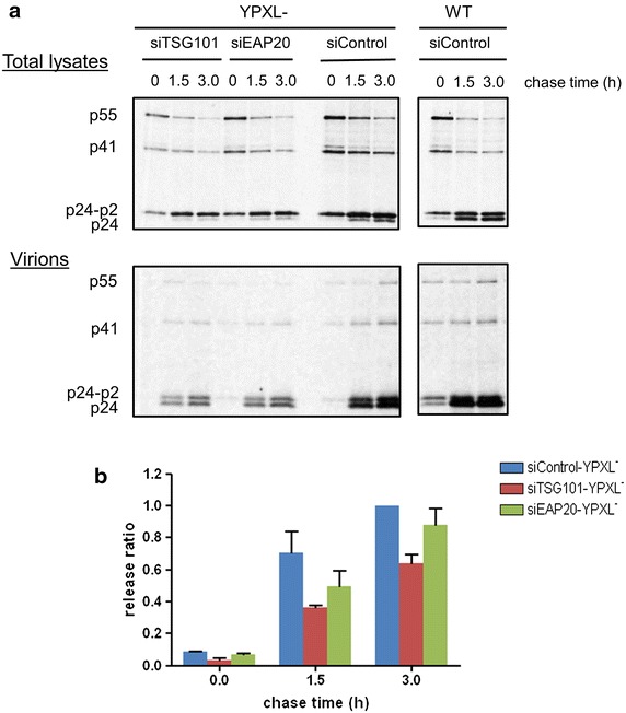 Fig. 4