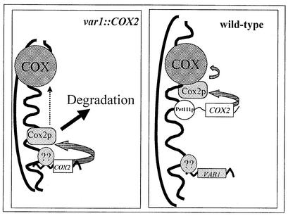 FIG. 3.