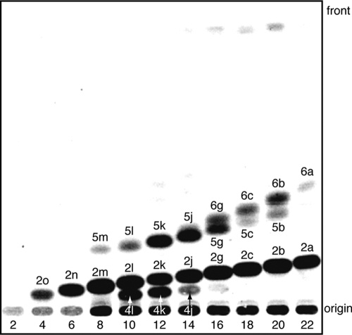 FIG. 6.