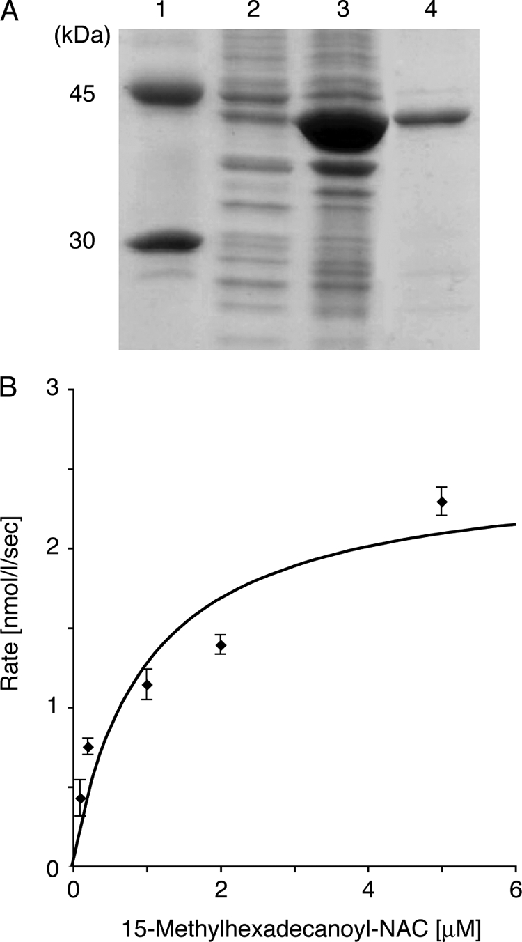 FIG. 5.