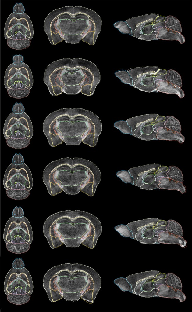 Figure 11