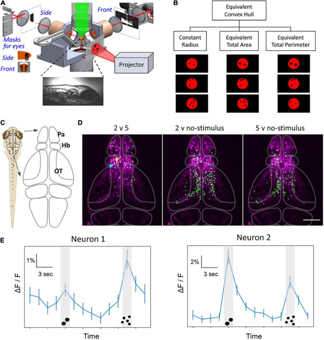 FIGURE 4