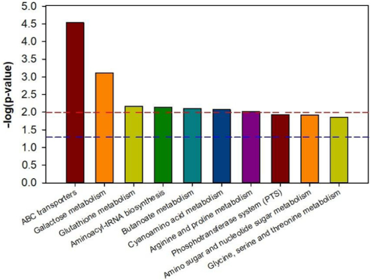 Figure 7