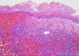 Fig 2-