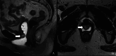 Fig 7