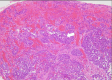 Fig 9