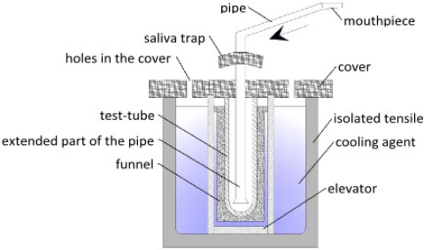 Figure 10.