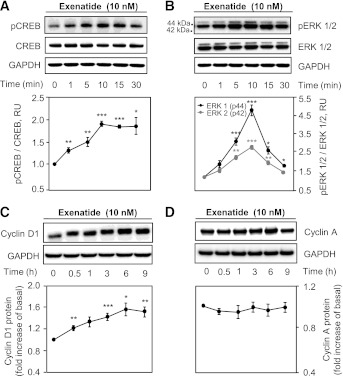 graphic file with name 2195fig7.jpg