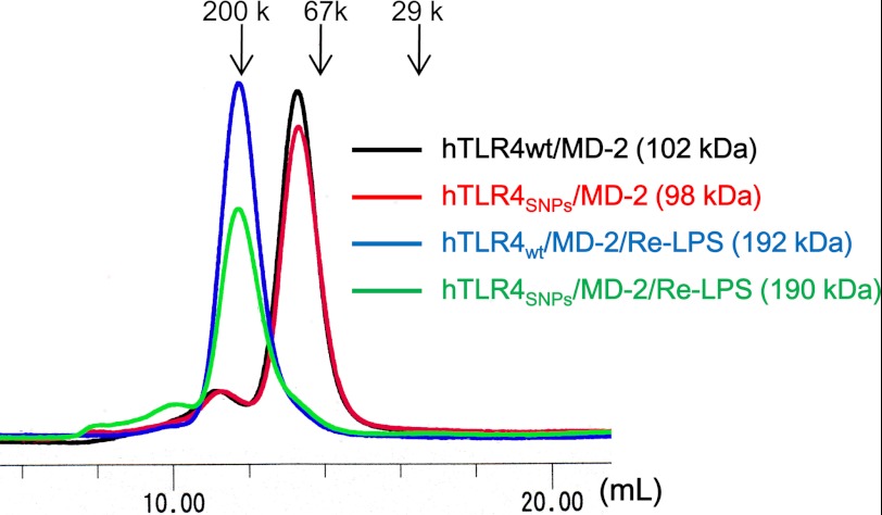 FIGURE 1.